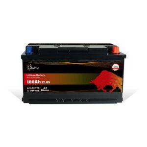 Outdoor-Living-Batterie-Lithium-100Ah-VW-T6-1-3