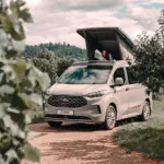 Thermoschutz aussen Schlaf-/Aufstelldach Ford V710 Bürstner Copa C530 Langer Radstand